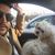 Steven K. Mamat's profile image