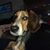 Dawn Lambert Webster's profile image