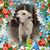 Larissa Alise's profile image
