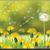 Cheryl Mickels Ousley's profile image