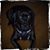 Amy Caron's profile image