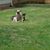 Percy N Diggs's profile image