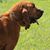 Richard Smith's profile image