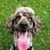 Amy Barth's profile image