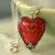 Kelly D. Osterhout's profile image