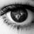 Dianna Wolfe's profile image