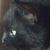 Terri Quintal's profile image