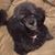 Marguerite Philpot Thompson's profile image