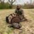 Brandon Hardy's profile image