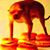 Michael Brunning's profile image