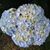 Pamela Kachlic's profile image
