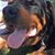 Paula May Murphy's profile image