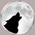 Bear Casey's profile image