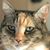 W Jaynee Carolus's profile image