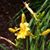 Penni Mcclure's profile image