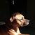 Tonya Rigsbee Clifton's profile image