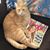 Linda Williams-Smith's profile image