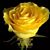 Patricia Carpenter's profile image