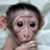 Matt Collins's profile image