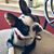 Patricia Marullo's profile image