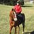 Karen Havis's profile image