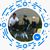 Beverly Conley's profile image
