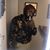 Dobbie Landers's profile image