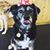 Gennifer Huggyfixington's profile image
