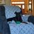Lori Taylor Ciesko's profile image