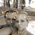 Tammy Livengood-Wilhite's profile image