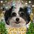 Kathy Frakes-Anderson's profile image
