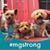 Joyce DuBose's profile image