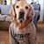 Karin Dreier's profile image