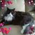 Shirley Powell Taylor's profile image