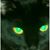 CinDee Luciano Coppeta Decker's profile image