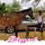 Barbara Nicholson Carrubba's profile image