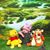 Lauren Weimer's profile image