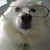 William S. Tsoukalas Sr.'s profile image