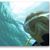 Judy Morgan Loomis's profile image