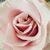 Christine Duffy's profile image