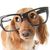 Vik Arora's profile image