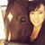 Andrea Lucas's profile image