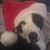 Melissa Weatherington's profile image