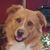 Linda Spinosa's profile image