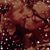 Annie Kuebler Cohen's profile image