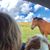 Marcela Olivia Dorantes's profile image