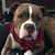 Donna Maas Thayer's profile image