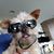 Linda Lamb Shong's profile image