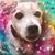 Heidi Moss's profile image