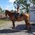 Mary E Llamas's profile image
